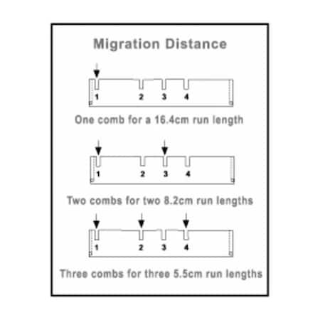 Thermo Fisher Scientific Asheville Owl D4 17 Well Comb, 1.0mm Thick D4-17C