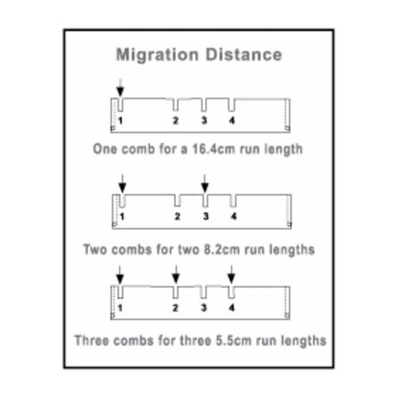 Thermo Fisher Scientific Asheville Owl D4 17 Well Comb, 1.5mm Thick D4-17D