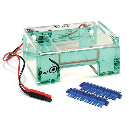 Thermo Fisher Scientific Asheville Owl Minigel System With Bep, 9 x 11 Cm B1-BP