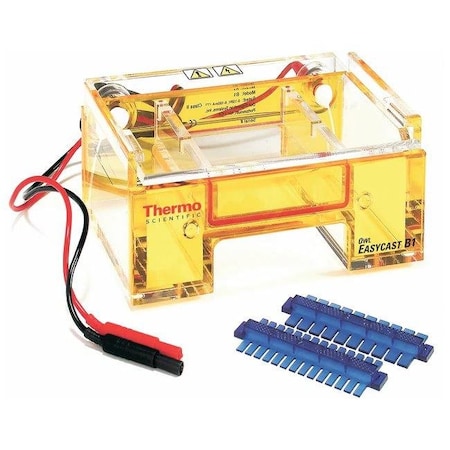 Thermo Fisher Scientific Asheville Owl Replacement Gasket Set of 2 B1-GK