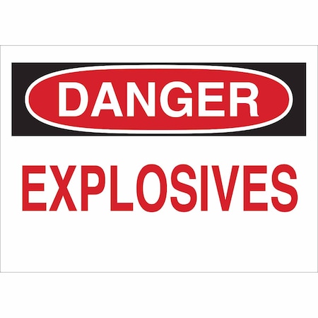 Brady Danger Sign, 10 in H, 14 in W, Polyester, Rectangle, English, 85168 85168
