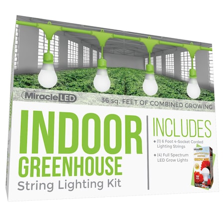 Miracle Led Absolute Daylight 4-Socket Corded LED Gr 601172