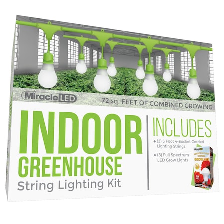 Miracle Led Absolute Daylight 4-Socket Corded L, PK2 601173