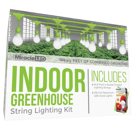 Miracle Led Absolute Daylight 4-Socket Corded L, PK4 601179