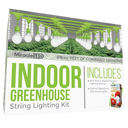 Miracle Led Absolute Daylight 4-Socket Corded L, PK6 601180