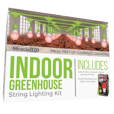 Miracle Led Absolute Daylight 4-Socket Corded L, PK6 601184