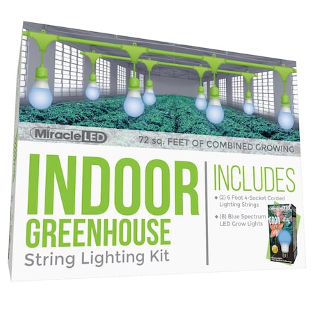 Miracle Led Absolute Daylight 4-Socket Corded L, PK2 601186