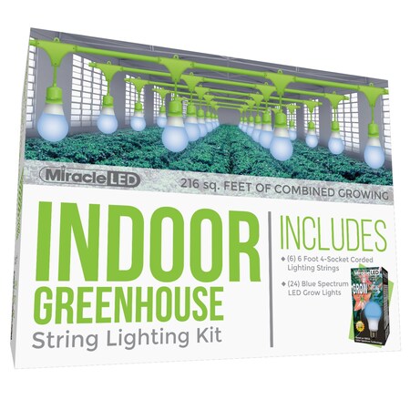 Miracle Led Absolute Daylight 4-Socket Corded L, PK6 601188