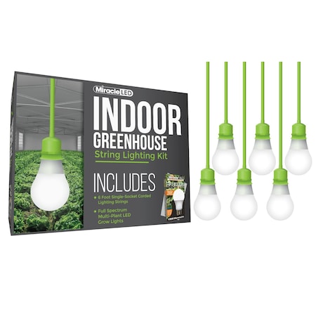 Miracle Led Wide Angle Single-Socket Corded LED, PK6 601212