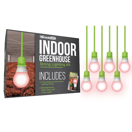 Miracle Led Wide Angle Single-Socket Corded LED, PK6 601216