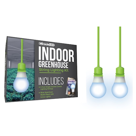 Miracle Led Wide Angle Single-Socket Corded LED, PK2 601218