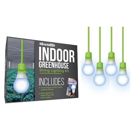 Miracle Led Wide Angle Single-Socket Corded LED, PK4 601219