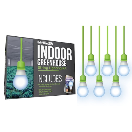 Miracle Led Wide Angle Single-Socket Corded LED, PK6 601220