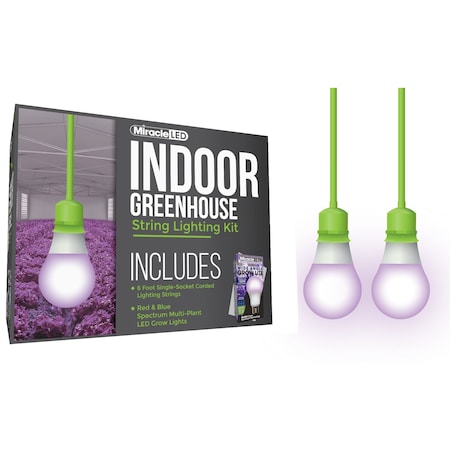 Miracle Led Wide Angle Single-Socket Corded LED, PK2 601222