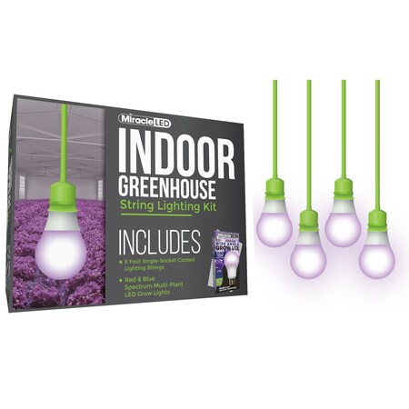 Miracle Led Wide Angle Single-Socket Corded LED, PK4 601223