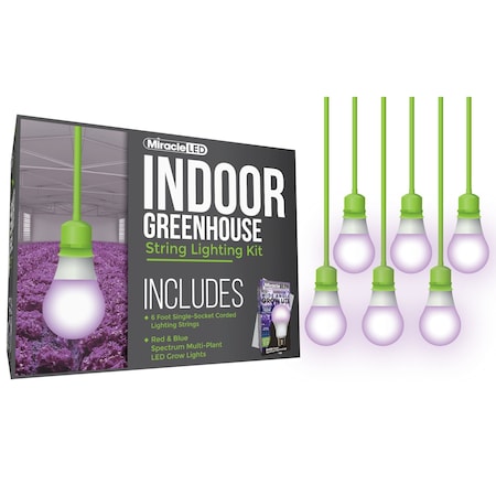 Miracle Led Wide Angle Single-Socket Corded LED, PK6 601224