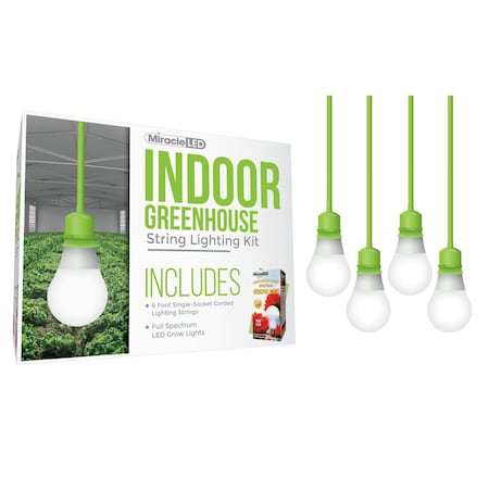 Miracle Led Absolute Daylight Single-Socket Cor, PK4 601259