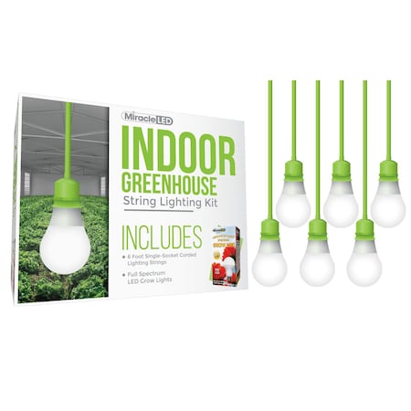 Miracle Led Absolute Daylight Single-Socket Cor, PK6 601260