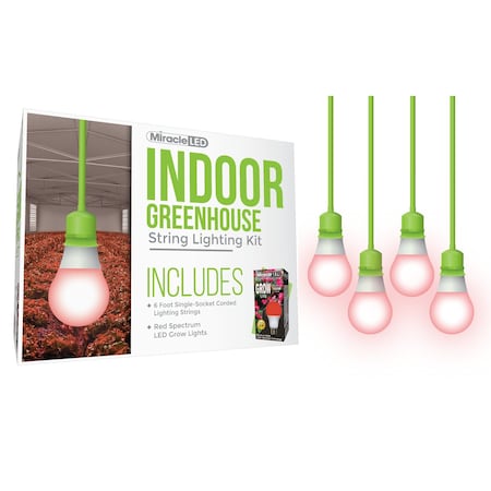 Miracle Led Absolute Daylight Single-Socket Cor, PK4 601263