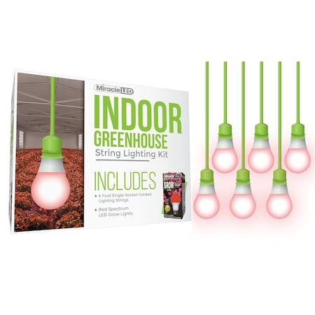 Miracle Led Absolute Daylight Single-Socket Cor, PK6 601264