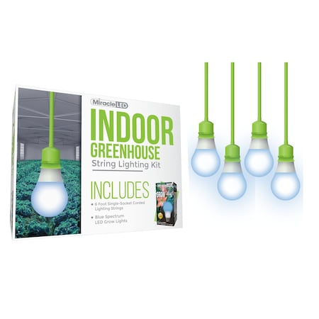 Miracle Led Absolute Daylight Single-Socket Cor, PK4 601267