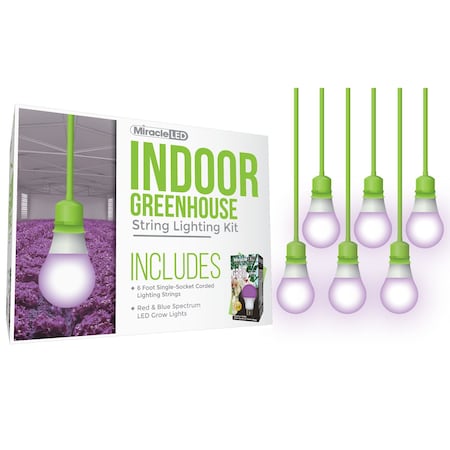 Miracle Led Daylight Single-Socket Corded LED G, PK6 601272