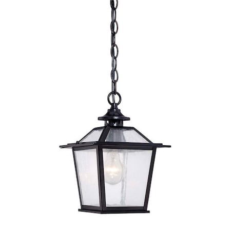 Acclaim Lighting Hanging Light, Matte Black, 1-Light, Height: 11-3/4" 9706BK