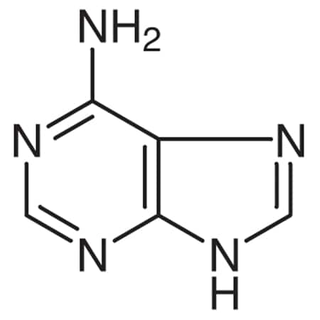 Tci CAS No. 73-24-5 A0149-25G