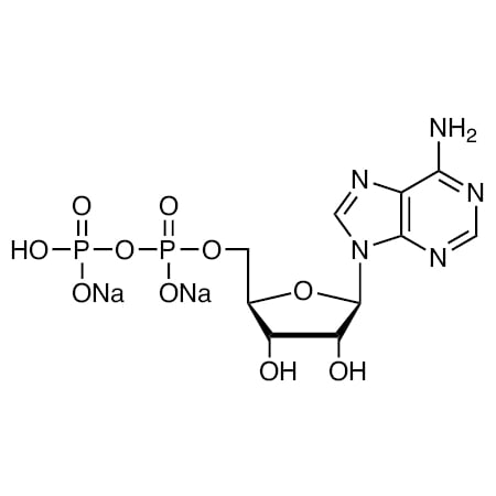 Tci CAS No. 16178-48-6 A0626-100MG