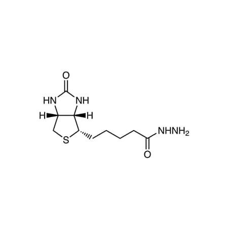 Tci CAS No 66640-86-6 B2431-100MG