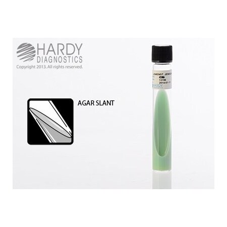 Hardy Diagnostics Lj Lowenstein Jensen With Sodium Chlor C29