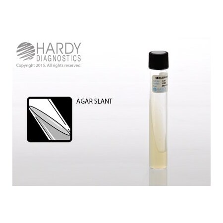 Hardy Diagnostics Middlebrook 7H11 Slant 10ml 20X125mm T C36