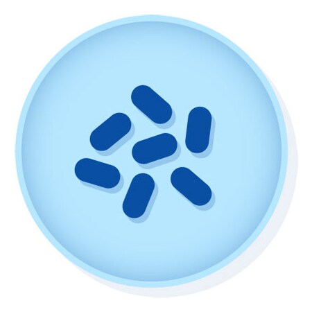 0697P - KWIK-STIK Rhodococcus Equi - KWIK-STIK Rhodococcus Equi ATCC 6939, Microbiologics - Each