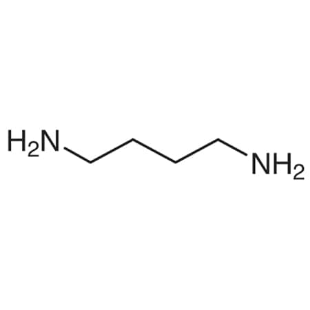 Tci CAS No. 110-60-1 D0239-25G