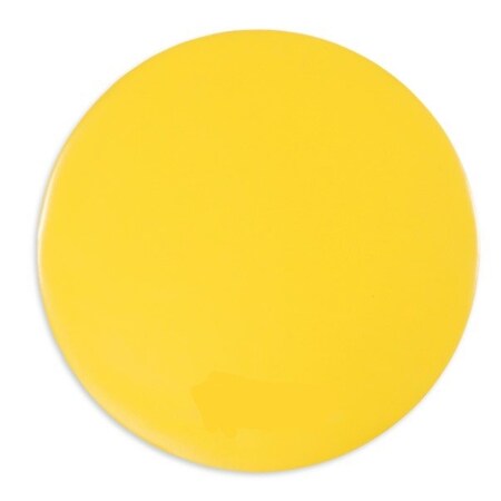 Ty-Flot Drain Cover, Walk Over 12 in dia. DC41212