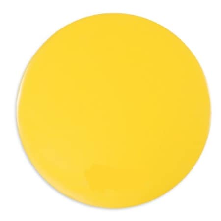 Ty-Flot Drain Cover, Walk Over 30 in dia. DC43030