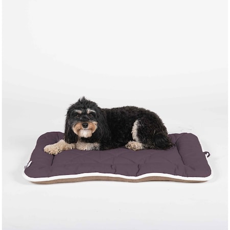 Dgs Pet Products Pet Cotton Canvas Sleeper Cushion DGSSC2839