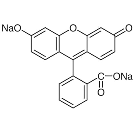 Tci CAS No 518-47-8 F0096-100G