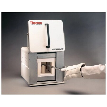 Thermo Fisher Scientific BF51524C