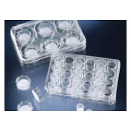 Nunc Thermo Scientific Nunc Polycarbona, PK 48 140629