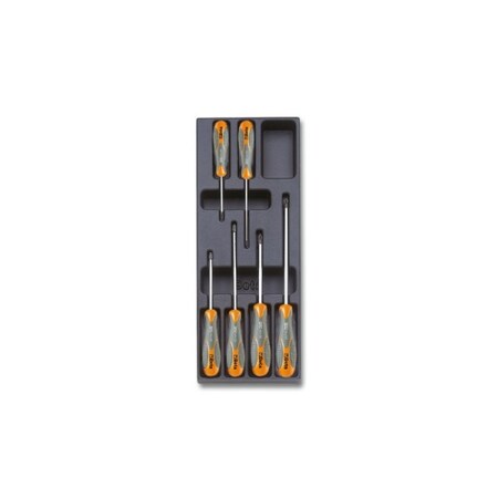 Beta Empty Thermoformed, 1/4, T172 024000743