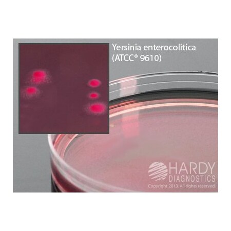 Hardy Diagnostics Cin Agar, Cefsulodin-Irgasan-Novobiocin G20