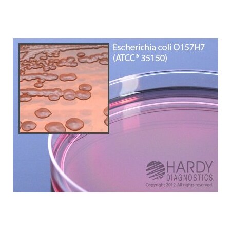 Hardy Diagnostics Macconkey Agar With Sorbitol Smac For G36