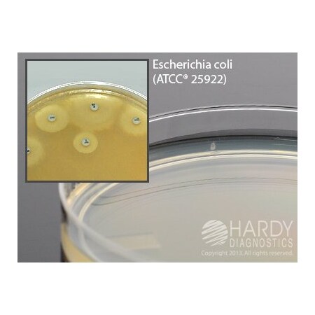 Hardy Diagnostics Mueller Hinton Agar 15X100mm Plate G45