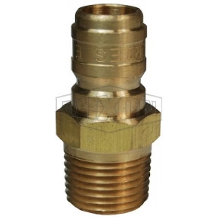 Dixon E-Series MNPT, 1", Plug, 1", BR E8M8-B