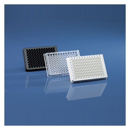 Brandtech Plates, Transparent, lipoGrade, F, PK 781842