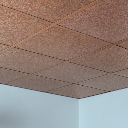Fasade Border Fill 2Ftx2Ft Lay In Ceiling , PK 5, 5 PK PL5919