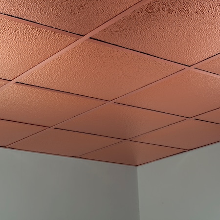 Fasade Border Fill 2Ftx2Ft Lay In Ceiling , PK 5, 5 PK PL5925