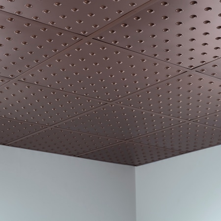 Fasade Dome 2Ftx2Ft Lay In Ceiling Tile Ar, PK 5, 5 PK PL6328