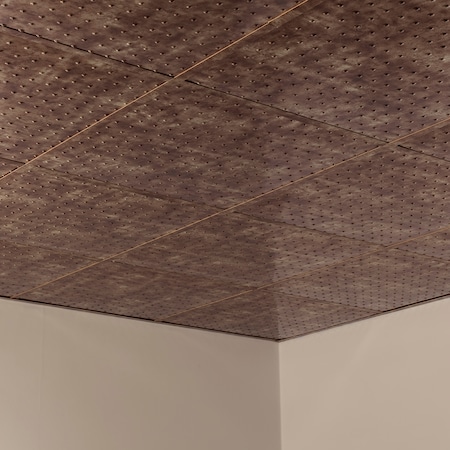 Fasade Minidome 2Ftx2Ft Lay In Ceiling Til, PK 5, 5 PK PL7217